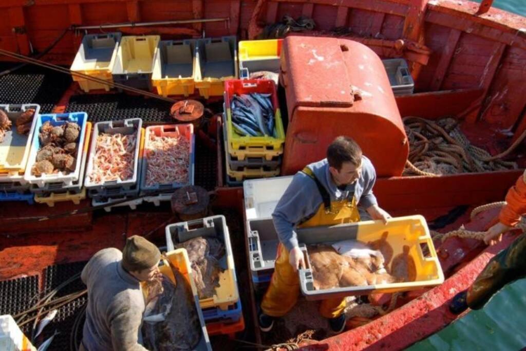 Kermaravel, Le Petit Manoir En Bord De Mer. Saint-Pol-de-Léon Exteriör bild